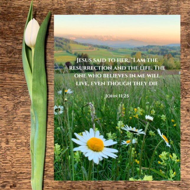 Cartes Pour Fêtes Annuelles Bible chrétienne traditionnelle Verse Nature origi (Beautiful original daisy photo with custom Christian Bible verse John 11:25 Easter resurrection card)