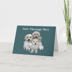 Cartes Pour Fêtes Annuelles Bichon Frise
