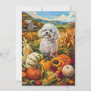 Cartes Pour Fêtes Annuelles Bichon Frise Chien Moisson d'automne Thankgiving