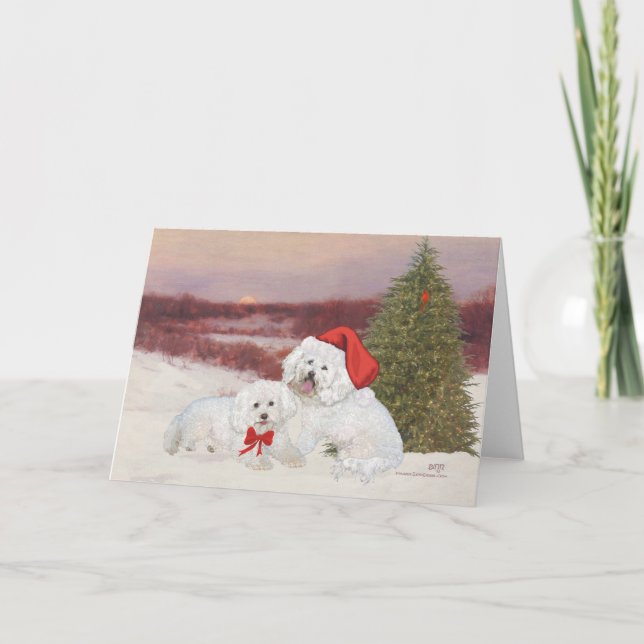 Cartes Pour Fêtes Annuelles Bichon Frise Christmas (Devant)