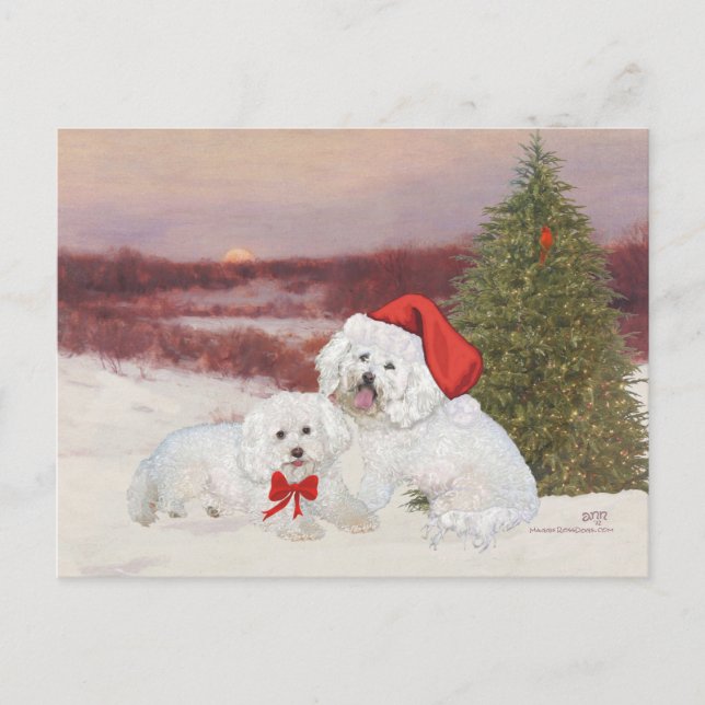 Cartes Pour Fêtes Annuelles Bichon Frise Christmas (Devant)