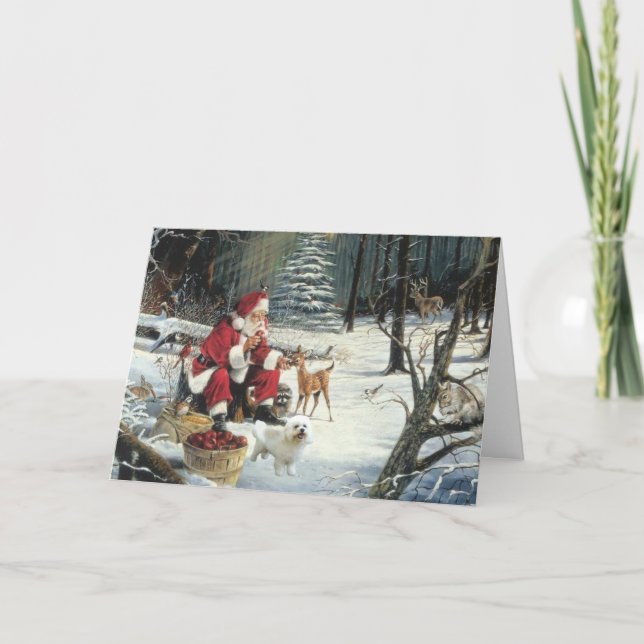 Cartes Pour Fêtes Annuelles Bichon Frise Christmas Card Santa Woods (Devant)