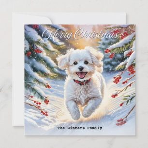 Cartes Pour Fêtes Annuelles Bichon Frise dans la neige Chien mignon Noël de No