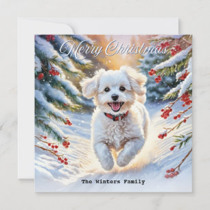 Cartes Pour Fêtes Annuelles Bichon Frise dans la neige Chien mignon Noël de No