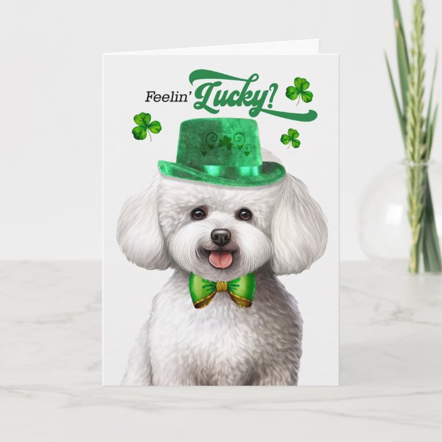 Cartes Pour Fêtes Annuelles Bichon Frise Dog Feelin' Lucky St Patrick's Day (Devant)