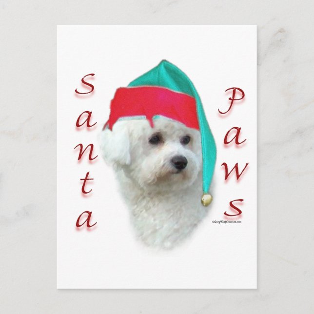Cartes Pour Fêtes Annuelles Bichon Frise Père Noël Paws (Devant)