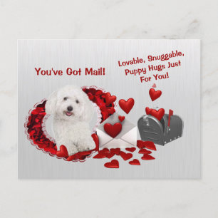 Cartes Pour Fêtes Annuelles Bichon Frise Vous avez un mail Puppy Hugs Valentin