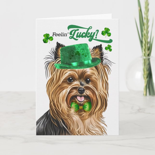Cartes Pour Fêtes Annuelles Biewer Terrier Chien Lucky St Patrick's Day (Devant)