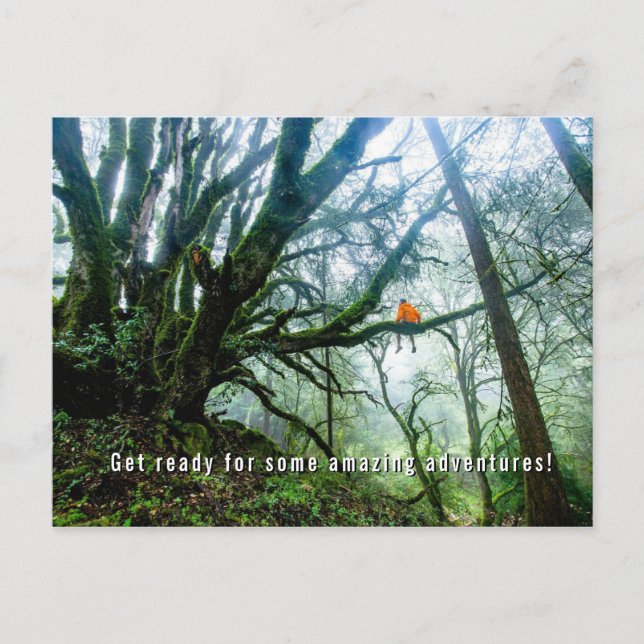 Cartes Pour Fêtes Annuelles Big Trees Extraordinaire Adventure Teacher Note Ca (Devant)