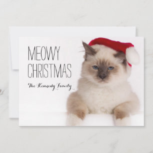 Cartes Pour Fêtes Annuelles Birman Cat Père Noël