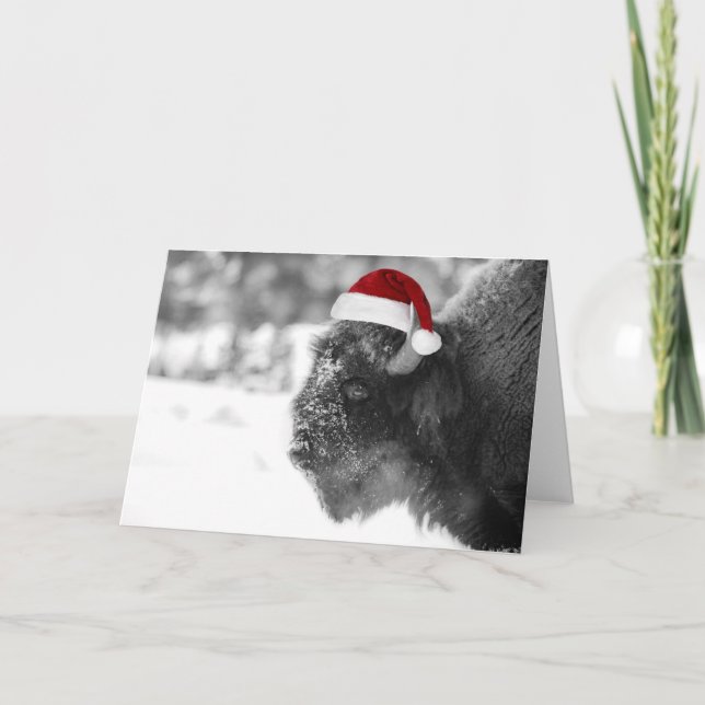 Cartes Pour Fêtes Annuelles Bison Claus (Devant)