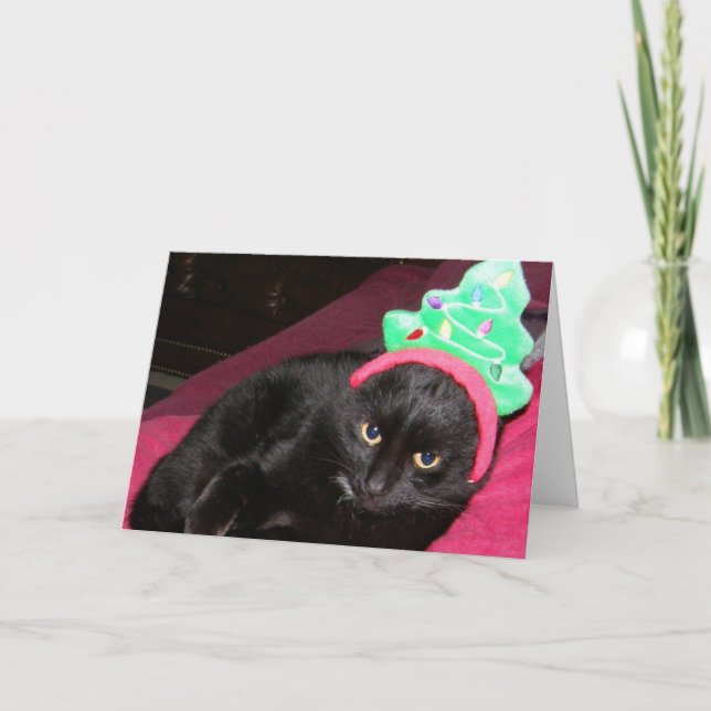 Cartes Pour Fêtes Annuelles Black Cat Funny Holiday Card Bah Humbug (Devant)