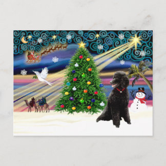 Cartes Pour Fêtes Annuelles Black H-noir de Magic Poodle
