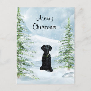 Cartes Pour Fêtes Annuelles Black lab Christmas