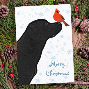 Cartes Pour Fêtes Annuelles Black Lab Christmas Cardinal - Labrador mignon chi