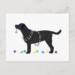 Cartes Pour Fêtes Annuelles Black Lab Joyeux Noël Design