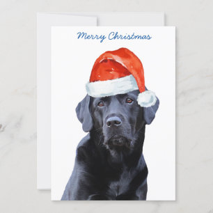 Cartes Pour Fêtes Annuelles Black Lab Joyeux Noël Labrador mignonne Chien Père