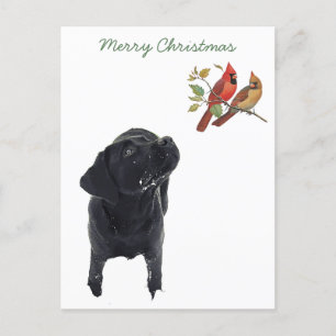 Cartes Pour Fêtes Annuelles Black Lab Joyeux Noël Mignonne Chien Oiseaux Labra