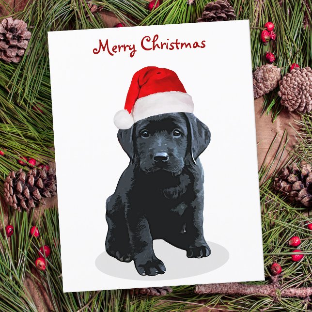 Cartes Pour Fêtes Annuelles Black Lab Père Noël - Joyeux Noël - Chien du Labra (Créateur téléchargé)