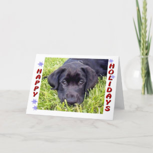 Cartes Pour Fêtes Annuelles Black Lab Puppy Happy Holidays Card