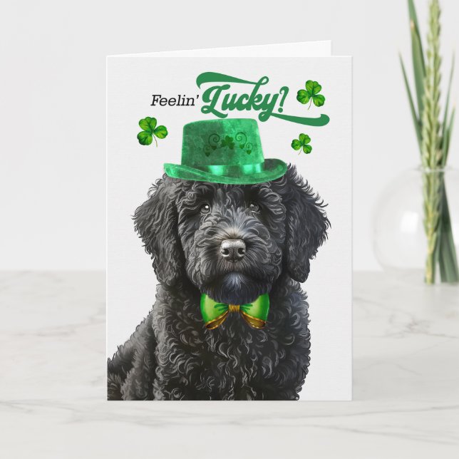 Cartes Pour Fêtes Annuelles Black Labradoodle Feelin' Lucky St Patrick's Day (Devant)