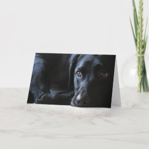 Cartes Pour Fêtes Annuelles Black Labrador