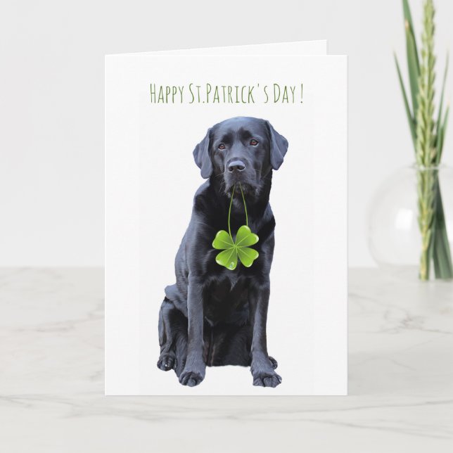 Cartes Pour Fêtes Annuelles Black Labrador Four Leaf Clover St. Patrick (Devant)