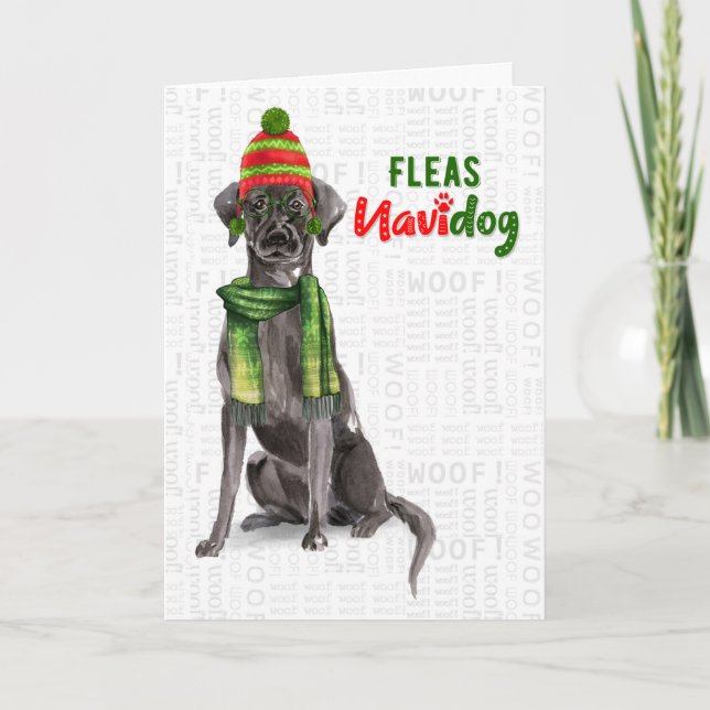 Cartes Pour Fêtes Annuelles Black Labrador Funny Fleas Navidog Noël (Devant)