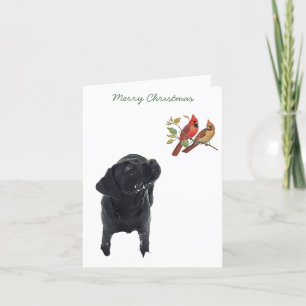 Cartes Pour Fêtes Annuelles Black Labrador Joyeux Noël Cardinaux mignons Chien