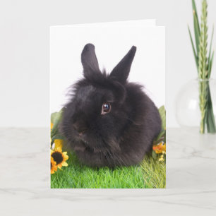 Cartes Pour Fêtes Annuelles black rabbit