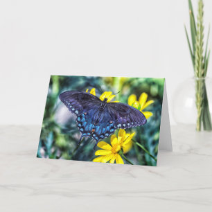 Cartes Pour Fêtes Annuelles Black Swallowtail sur fleurs jaunes