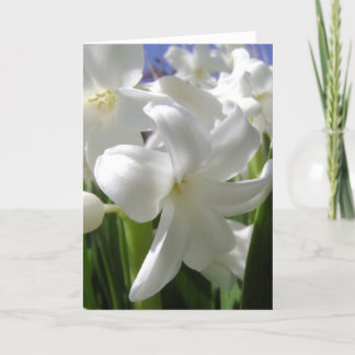 Cartes Pour Fêtes Annuelles Blanc Pâques Lilly