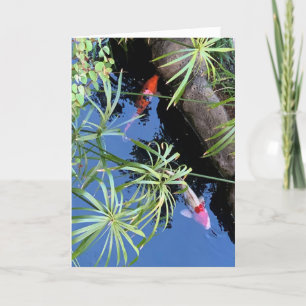 Cartes Pour Fêtes Annuelles Blank de Maui Koi Pond