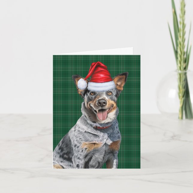 Cartes Pour Fêtes Annuelles Bleu Heeler Chien de Noël Vert Plaid Noël (Devant)