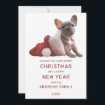 Cartes Pour Fêtes Annuelles Bleu Rouge Blanc Français Chien à taureaux Santa H<br><div class="desc">Cette carte de voeux de Noël, mignonne et artistique, est parfaite pour créer l'ambiance festive de votre événement spécial. Il présente un bulldog français gris et blanc peint à la main à l'intérieur d'un chapeau de Père Noël blanc et rouge sur un simple arrière - plan blanc. Sur le dos...</div>