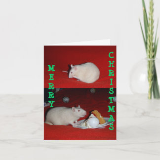 Cartes Pour Fêtes Annuelles Bliss, Bliss01, NOËL, MERCI