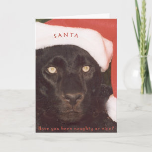 Cartes Pour Fêtes Annuelles Blk Leopard Père Noël