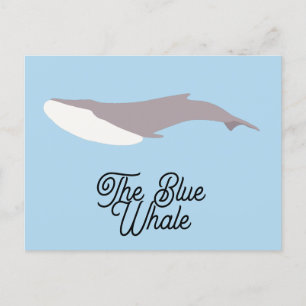 Cartes Pour Fêtes Annuelles Bloc de couleur Baleine bleue