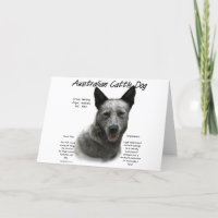 Blue Australian Cattle Chig History; Blue ACD