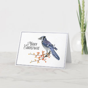 Cartes Pour Fêtes Annuelles Blue Jay Bird Joyeux Noël Berry Silver Nature