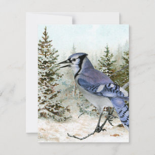 Cartes Pour Fêtes Annuelles Blue Jay Forêt de Neige Noël Vacances Oiseau Natur