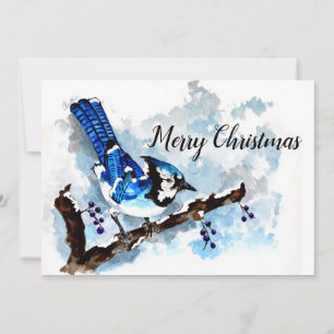 Cartes Pour Fêtes Annuelles Blue Jay Winter