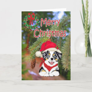 Cartes Pour Fêtes Annuelles Blue Merle Christmas Aussie Cartoon Chiot