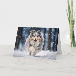 Cartes Pour Fêtes Annuelles Blue Merle Sheltie