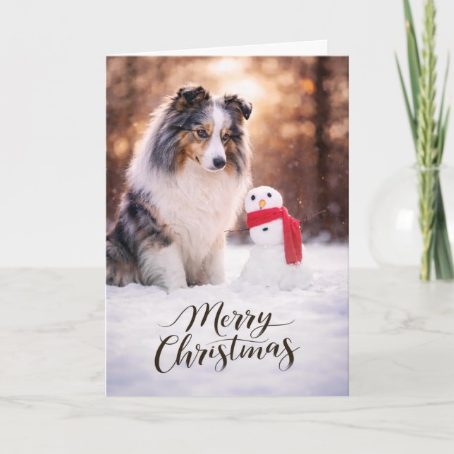 Cartes Pour Fêtes Annuelles Blue Merle Sheltie Christmas Snowman (Devant)