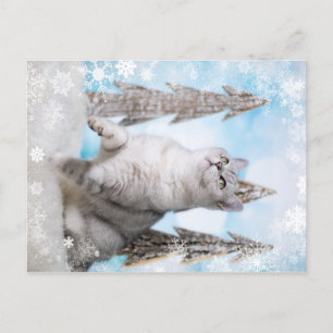 Cartes Pour Fêtes Annuelles Blue XMAS 2018