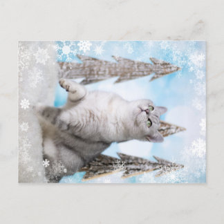 Cartes Pour Fêtes Annuelles Blue XMAS 2018