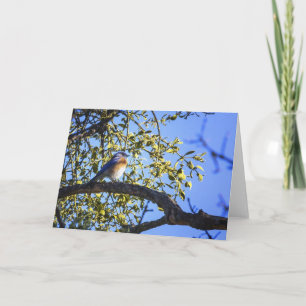 Cartes Pour Fêtes Annuelles Bluebird Under the Mistletoe Greeting Card