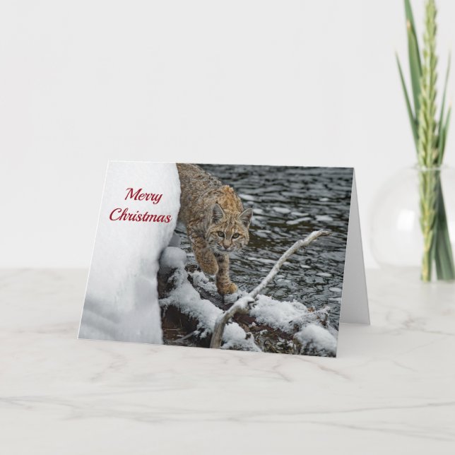 Cartes Pour Fêtes Annuelles Bobcat Eau de neige Photo Noël (Devant)