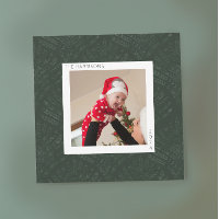 Bohème À feuillage persistant Fern Moderne Minimal